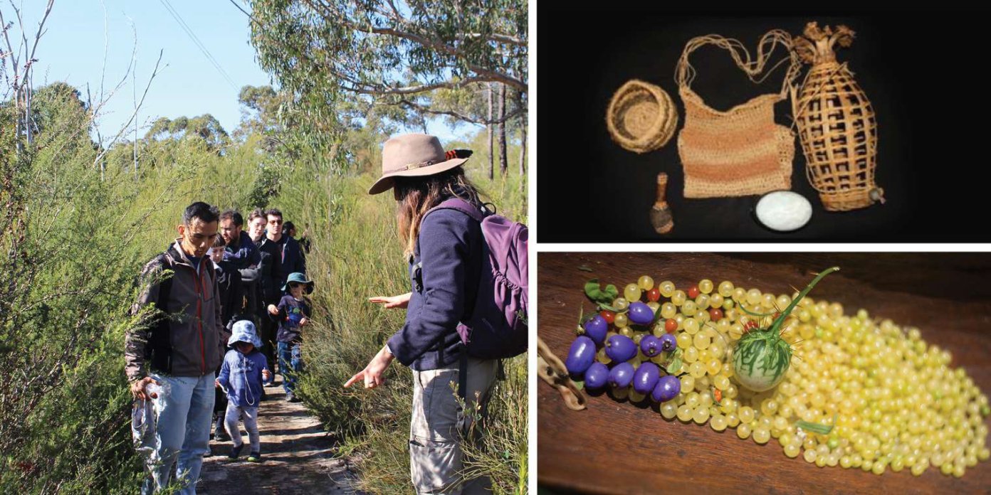 Indigenous heritage guided bush tucker walk & presentation - Gai-mariagal Festival 2025   - Gai-mariagal Festival 2025 - Sydney Northern Beaches