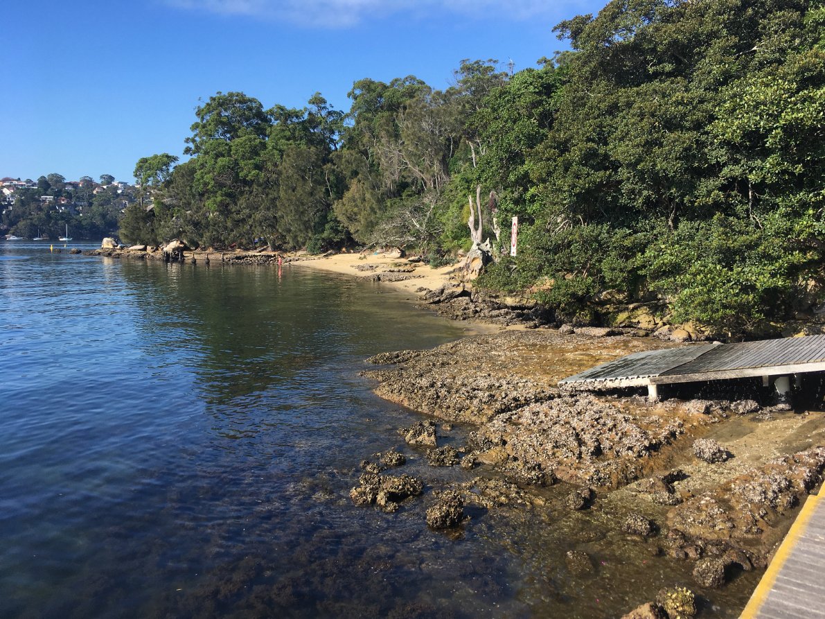 Gai-mariagal Festival 2025 - Northern Sydney Region - Our critical coastline, a Gai-mariagal festival bushwalk
