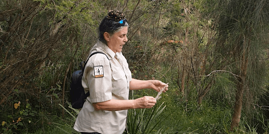 Walking Country at Lane Cove River - Gai-mariagal Festival 2025 - Sydney Northern Beaches